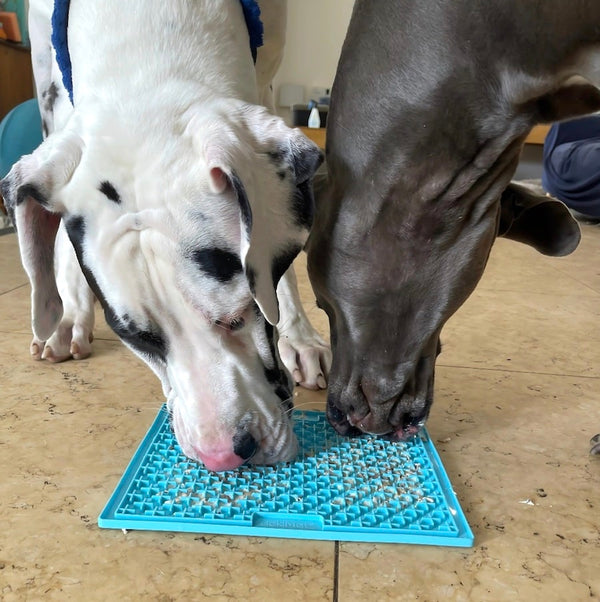 LickiMat Buddy XL - Extra Large Slow Feeder Licking Mat for Dogs & Cats | Turquoise