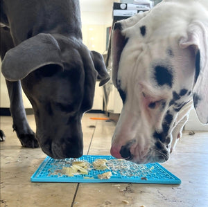 LickiMat Buddy XL - Extra Large Slow Feeder Licking Mat for Dogs & Cats | Turquoise
