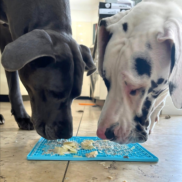 LickiMat Buddy XL - Extra Large Slow Feeder Licking Mat for Dogs & Cats | Turquoise