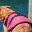 Ezy Dog DFD Dog Floatation device Life Jacket Red