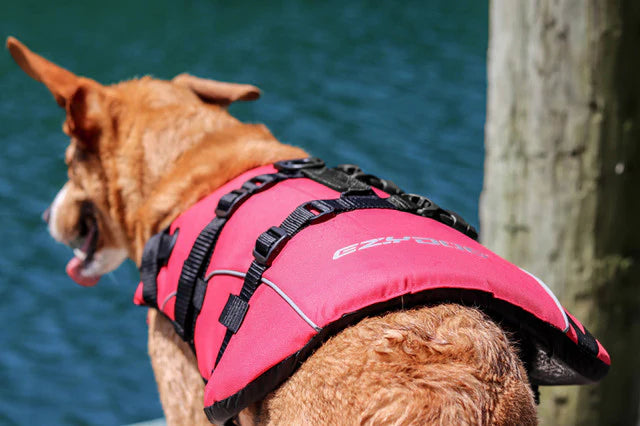 Ezy Dog DFD Dog Floatation device Life Jacket Red