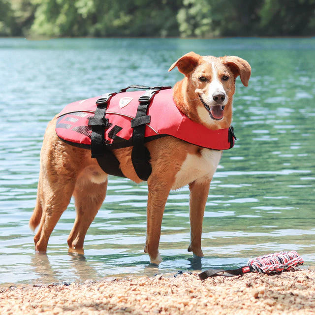 Ezy Dog DFD Dog Floatation device Life Jacket Red
