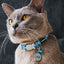 Red Dingo safety cat Collar With Break-Away Clip Design Paw Impressions