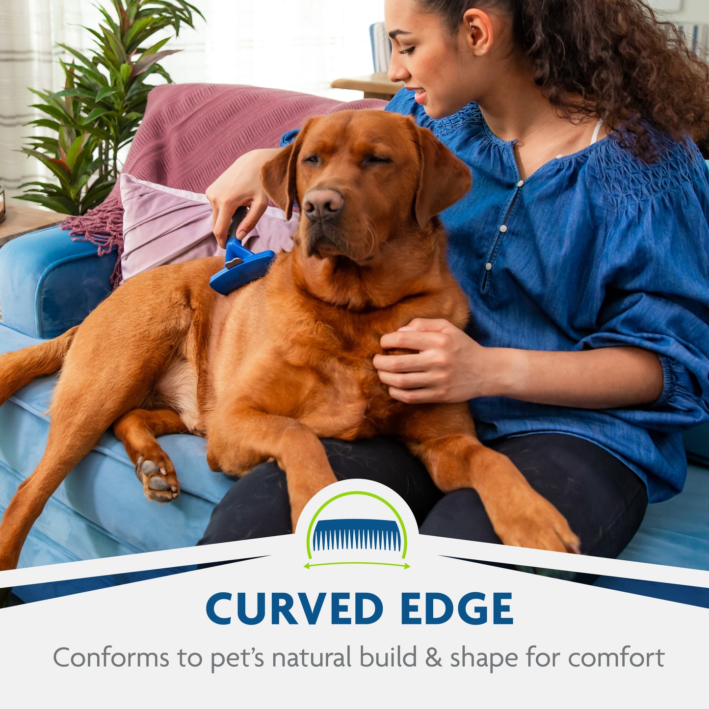 Woman grooming a brown dog with a curved edge comb on a couch