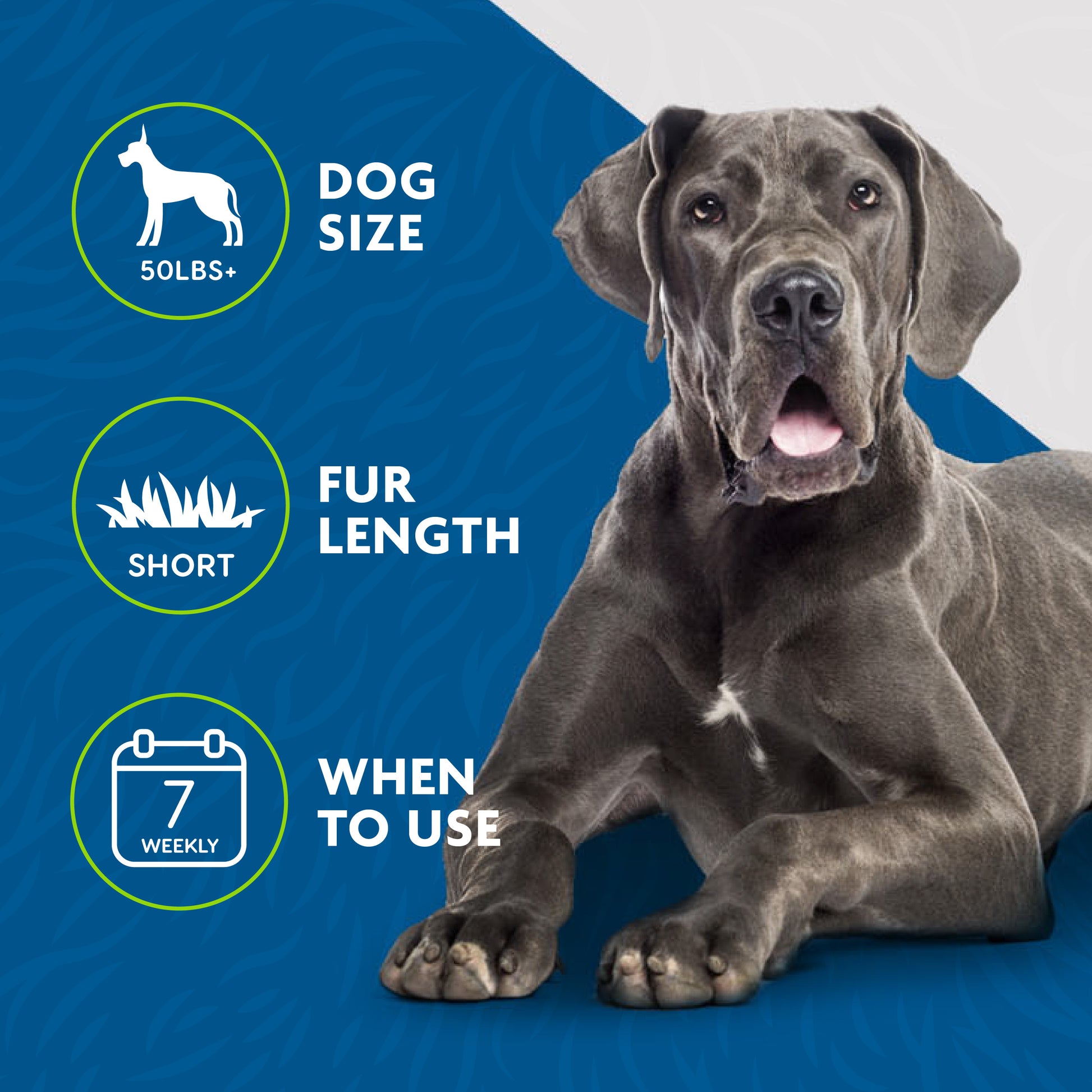 Dog with grooming product information on a blue background