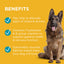 Dog sitting on a yellow background with text about product benefits