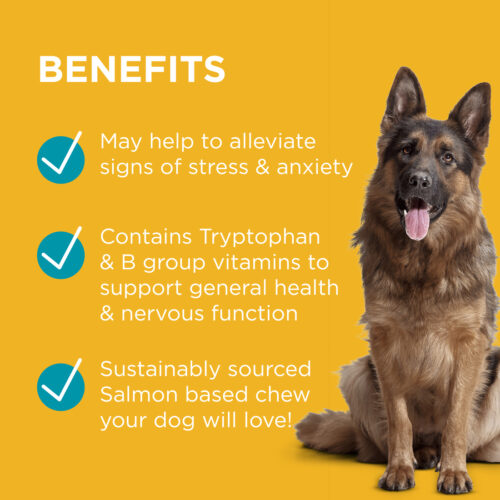 Dog sitting on a yellow background with text about product benefits