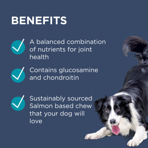 PAW Osteocare Joint Health Chews for Dogs - Premium Joint Support by Blackmores