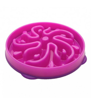 Pawise Dog Slow Feeder Bowl
