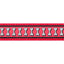 Red Dingo Reflective Bones Dog Collar - High Visibility Safety | Red