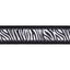 Zebra print ribbon with a black border on a white background