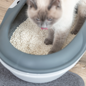 Trixie Tofu Cat Litter Clumping 2.5kg + 4.5kg