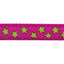 Red Dingo Stars Dog Collar - White Stars Pattern | S, M, L Sizes