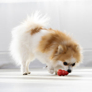 kong classic small size