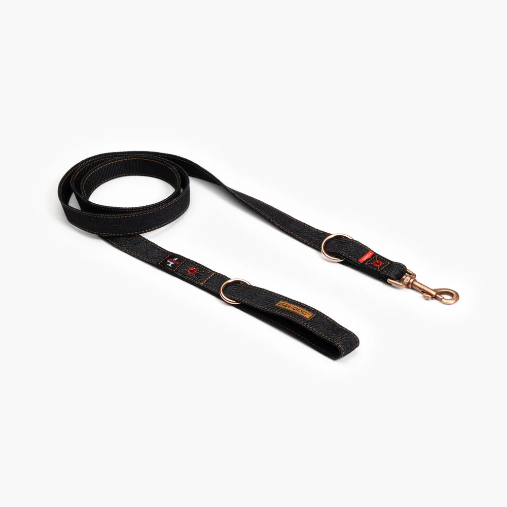 Black dog leash with gold hardware on a white background