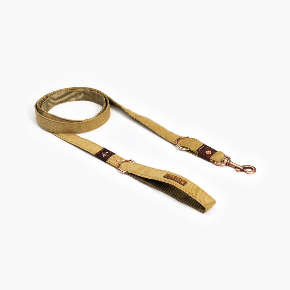 EzyDog Softtrainer Lite Dog Leash - Premium Training Lead for Small Dogs & Puppies