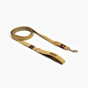 EzyDog Softtrainer Lite Dog Leash - Premium Training Lead for Small Dogs & Puppies