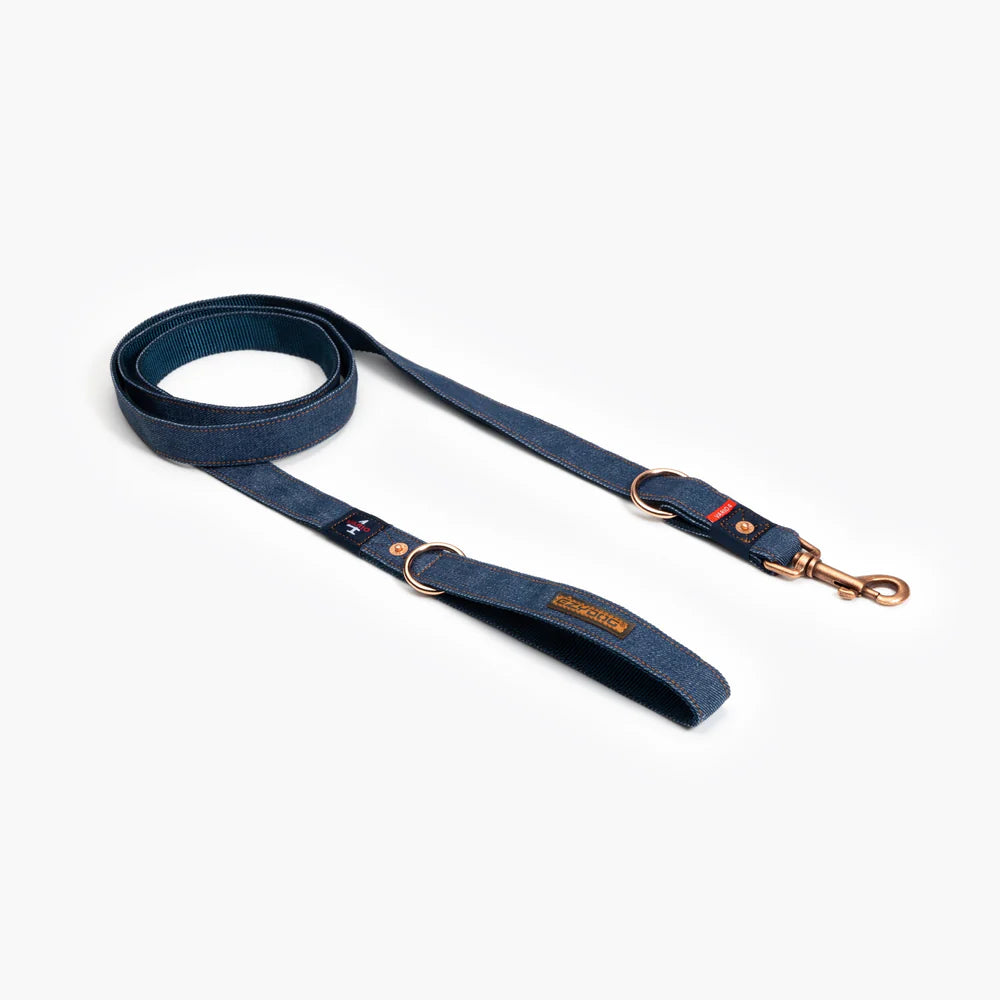 Black dog leash with gold hardware on a white background
