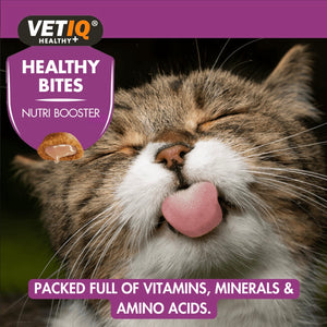 Healthy Bites Nutri Booster for Cats & Kittens 65g