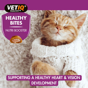 Healthy Bites Nutri Booster for Cats & Kittens 65g