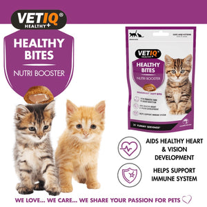 Healthy Bites Nutri Booster for Cats & Kittens 65g