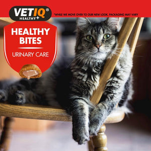 VetIQ Healthy Bites Urinary Care Cat Treats - 65g