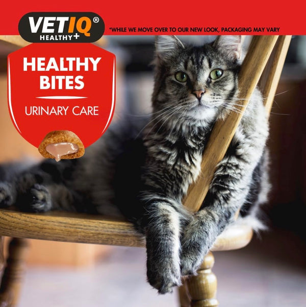 VetIQ Healthy Bites Urinary Care Cat Treats - 65g