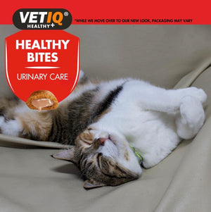 VetIQ Healthy Bites Urinary Care Cat Treats - 65g