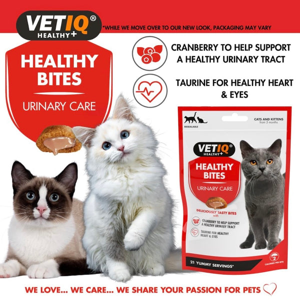 VetIQ Healthy Bites Urinary Care Cat Treats - 65g