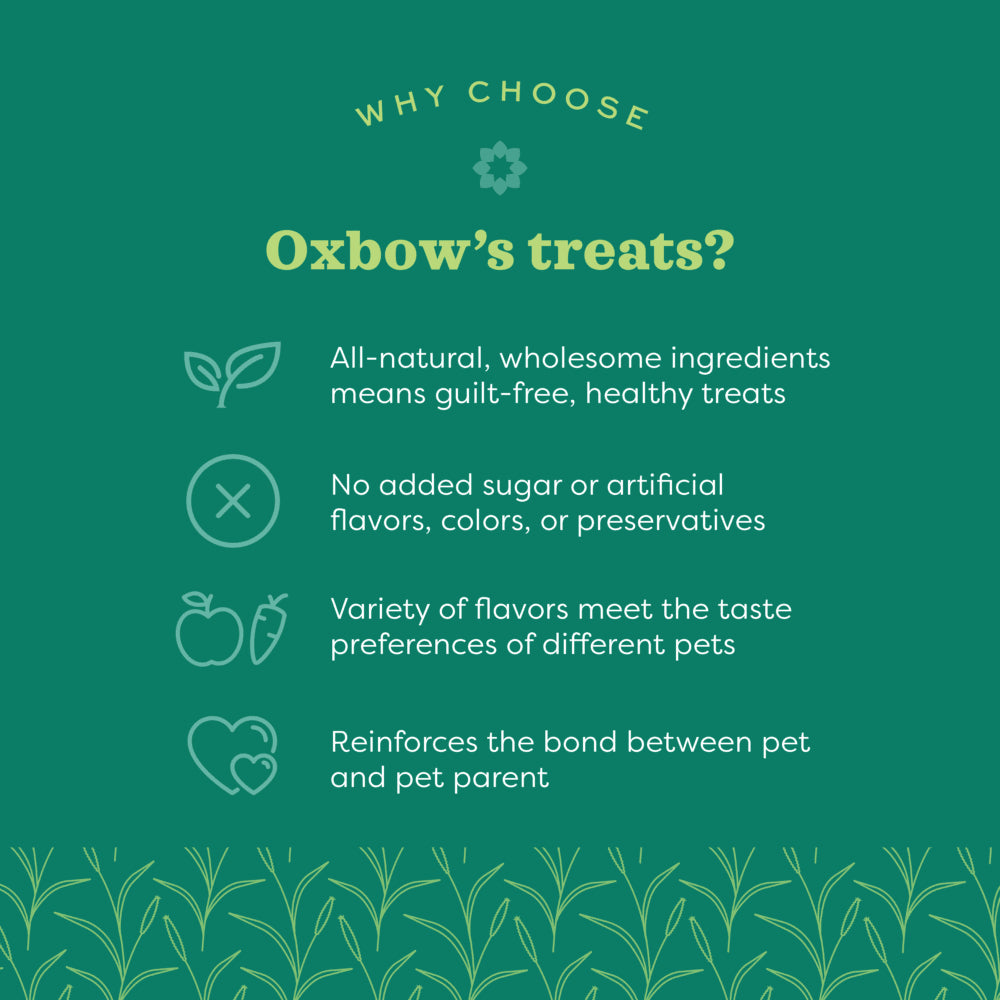 Oxbow Simple Rewards Carrot & Dill Baked Treats