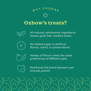 Oxbow Simple Rewards Carrot & Dill Baked Treats