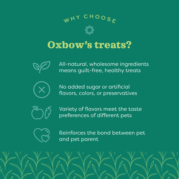 Oxbow Simple Rewards Carrot & Dill Baked Treats