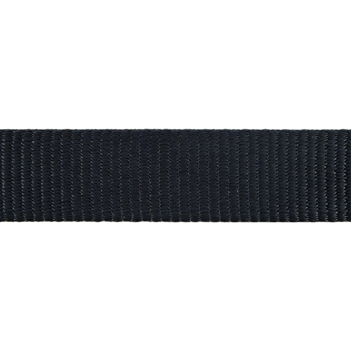 Close-up of a black belt strap on a white background