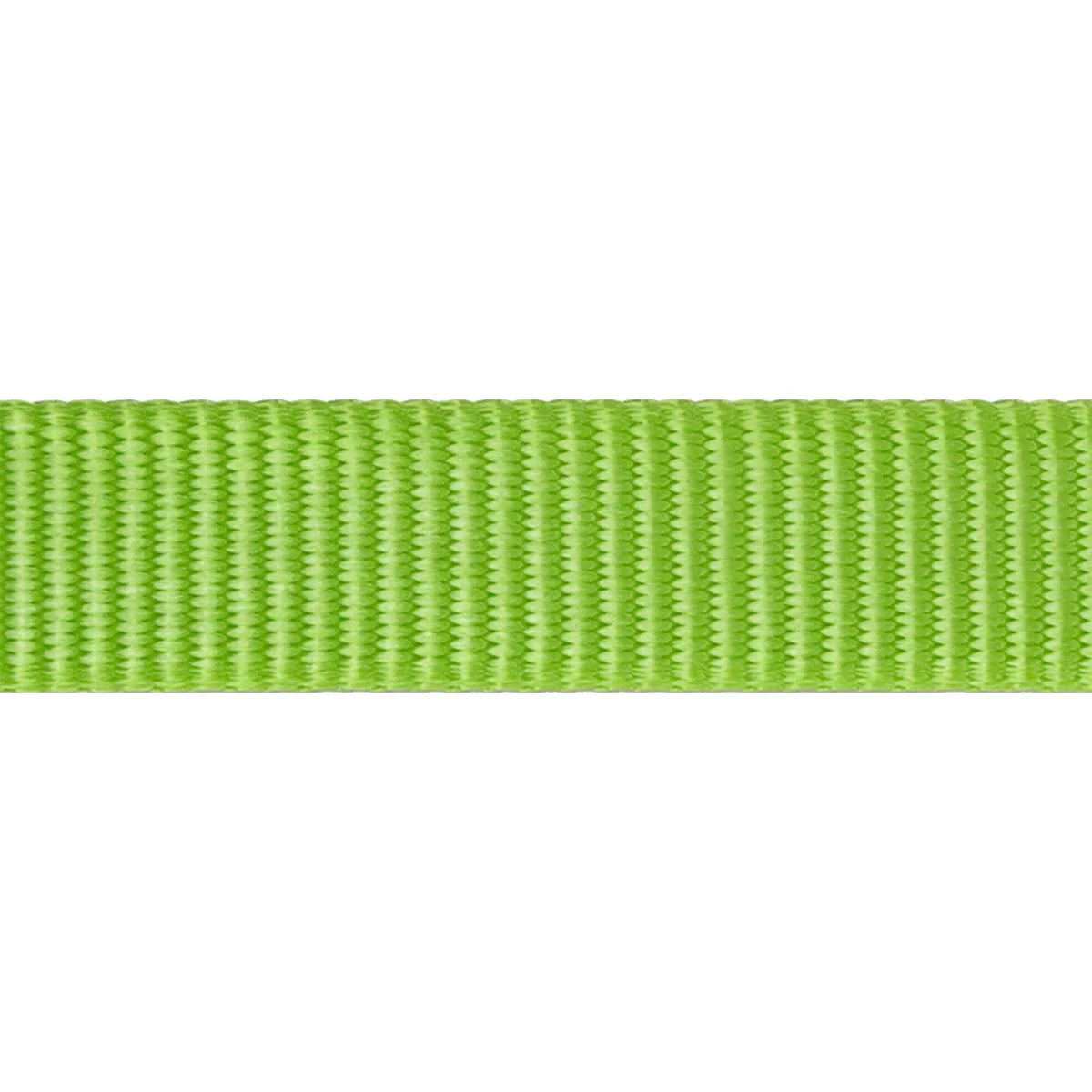 Cat Collar Plain Red lime green