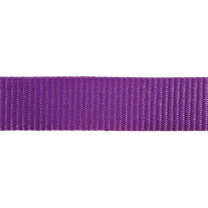 Purple ribbon on a white background