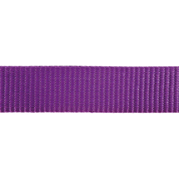 Purple ribbon on a white background