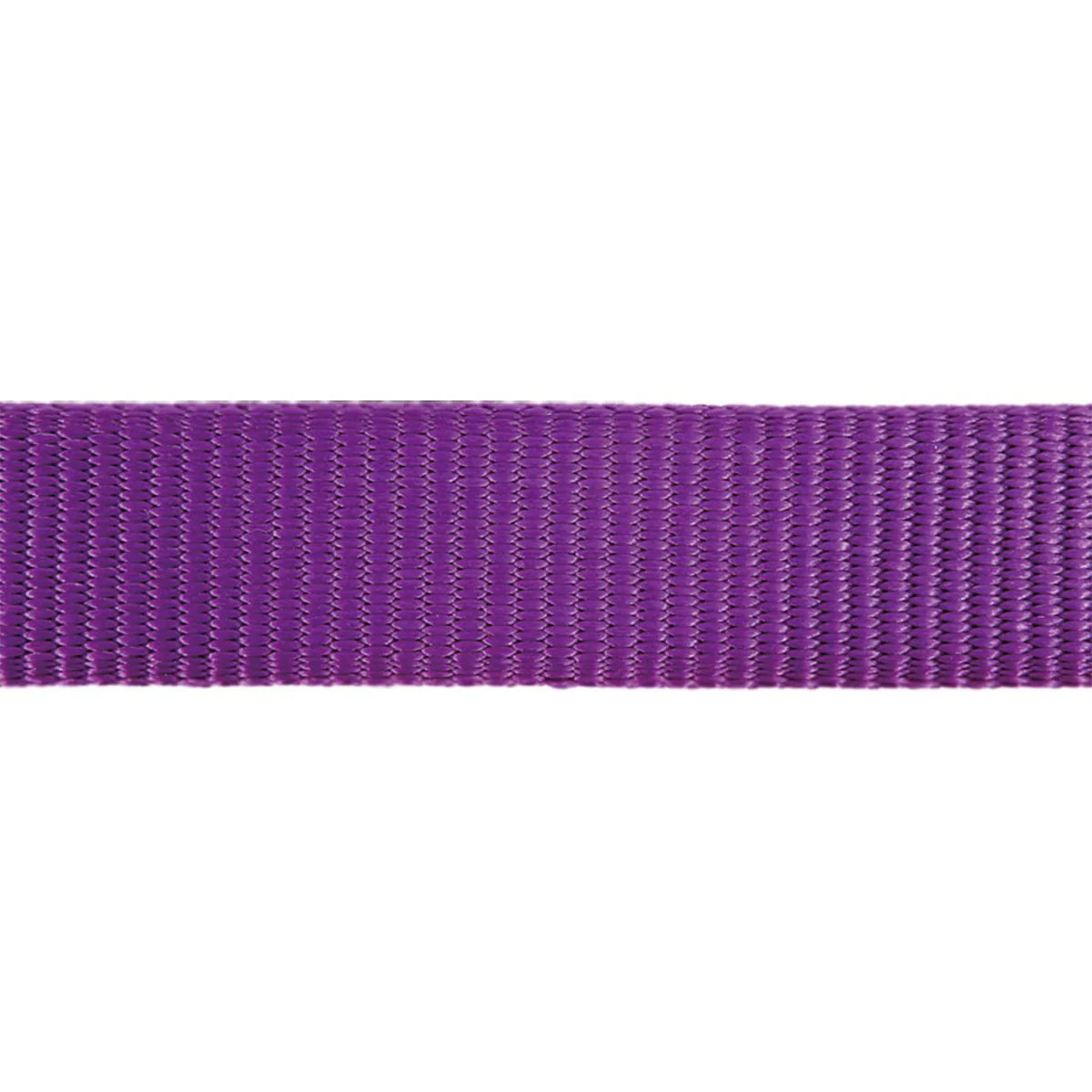 Purple ribbon on a white background