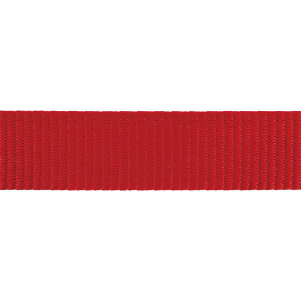 Red ribbon on a white background