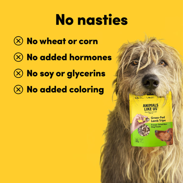 Dog holding a package of 'Animals Like Us' dog treats with a yellow background and text about ingredient claims.