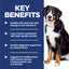 Dog with key benefits listed on a blue background