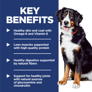 Dog with key benefits listed on a blue background