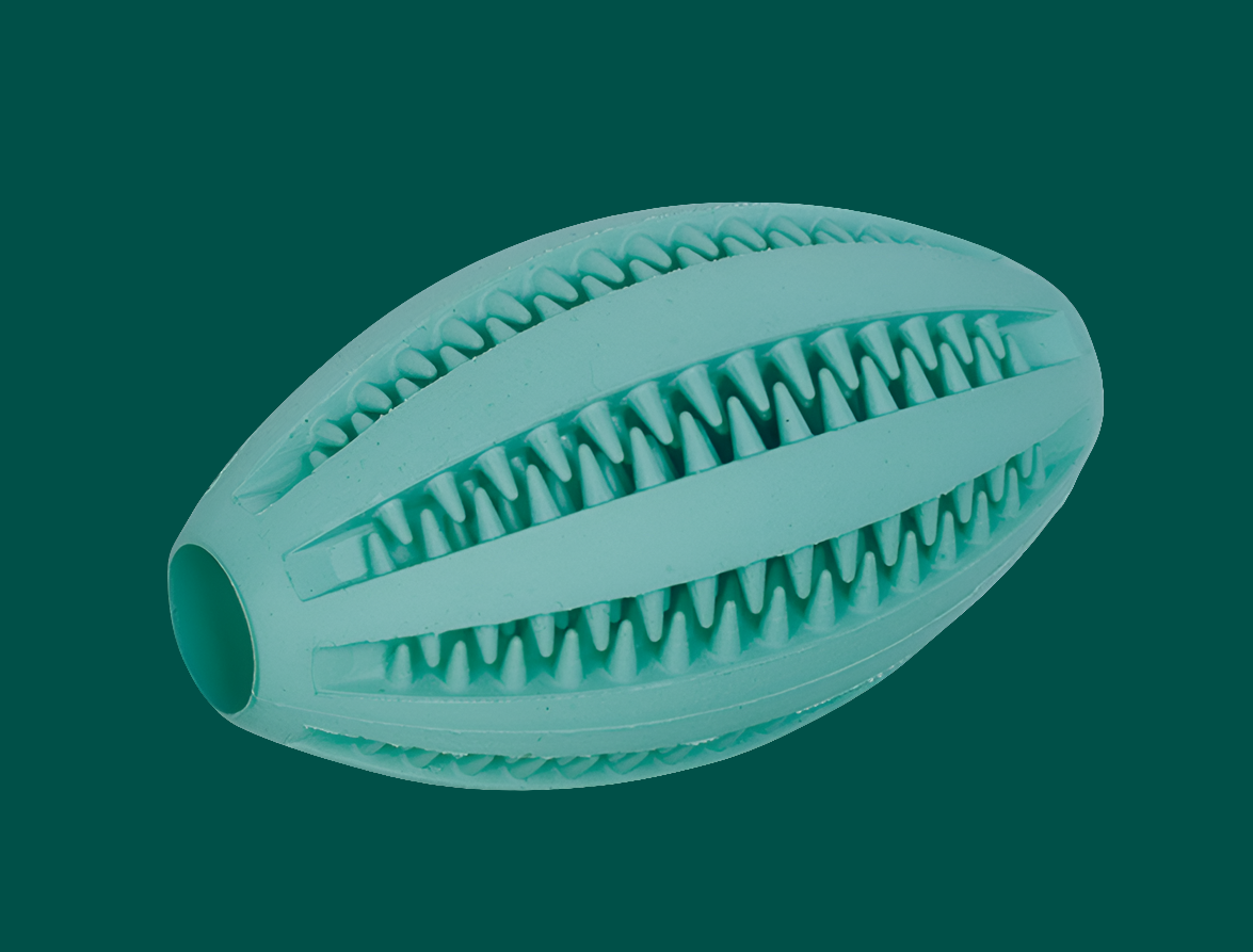 Rubber Rugby "DENTAL LINE" 11x6cm - Mint Flavored Dog Dental Toy