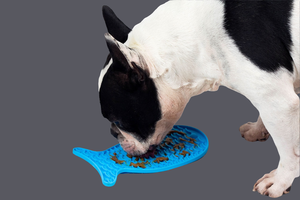 Silicone Slow Feeder Dog Bowl Fish Shape - Non-Slip with Suction Cup | Nobby