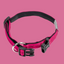 Soft Grip Dog Collar - Nylon Collar with Soft Lining | 15 Colors, 5 Sizes Nobby