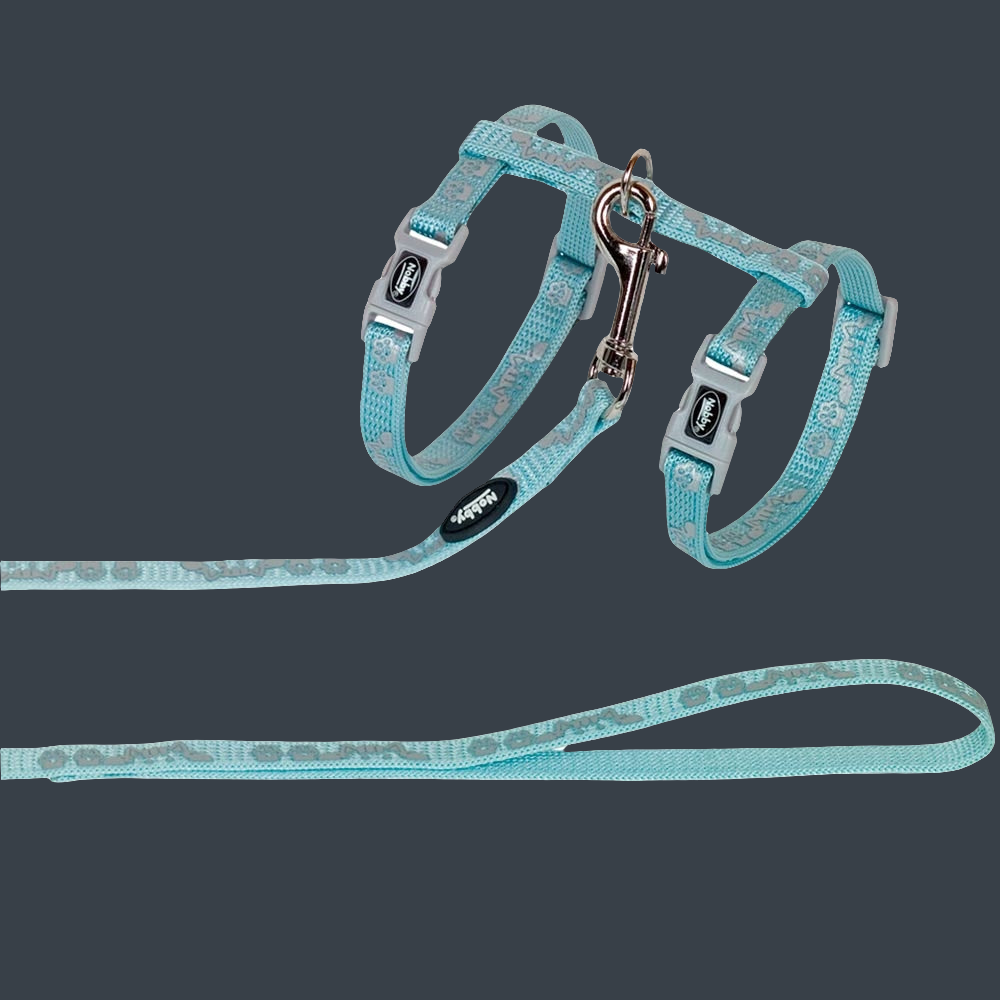 Teal cat collar and leash set on a dark gray background