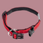 Soft Grip Dog Collar - Nylon Collar with Soft Lining | 15 Colors, 5 Sizes Nobby