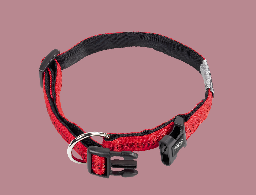 Assorted dog collars in various colors on a white background
