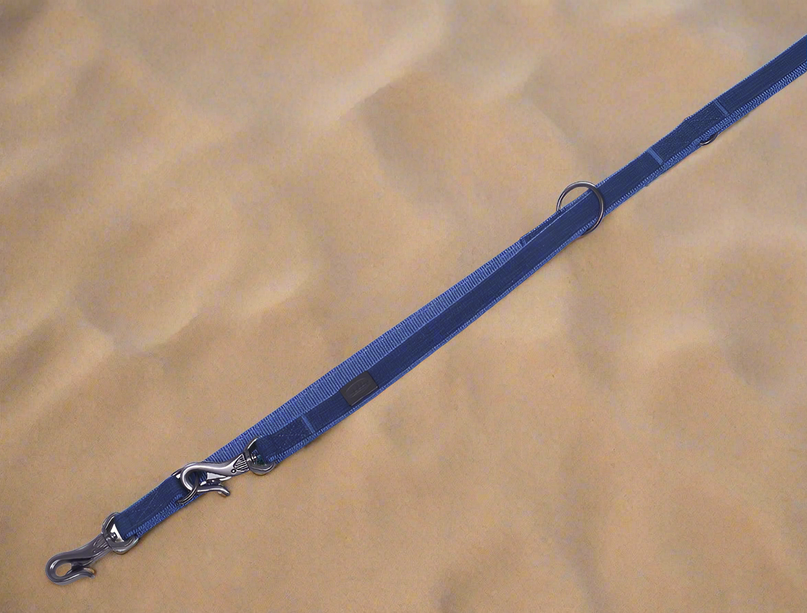 Blue dog leash on a sandy background