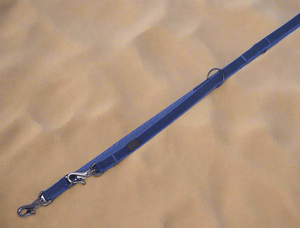 Blue dog leash on a sandy background