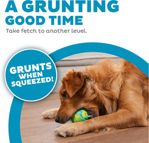 A golden retriever lying on a wooden floor with a green and yellow squeaky toy in its mouth, with promotional text reading 'A GRUNTING GOOD TIME' and 'GRUNTS WHEN SQUEEZED!' on a white background with blue graphic elements.